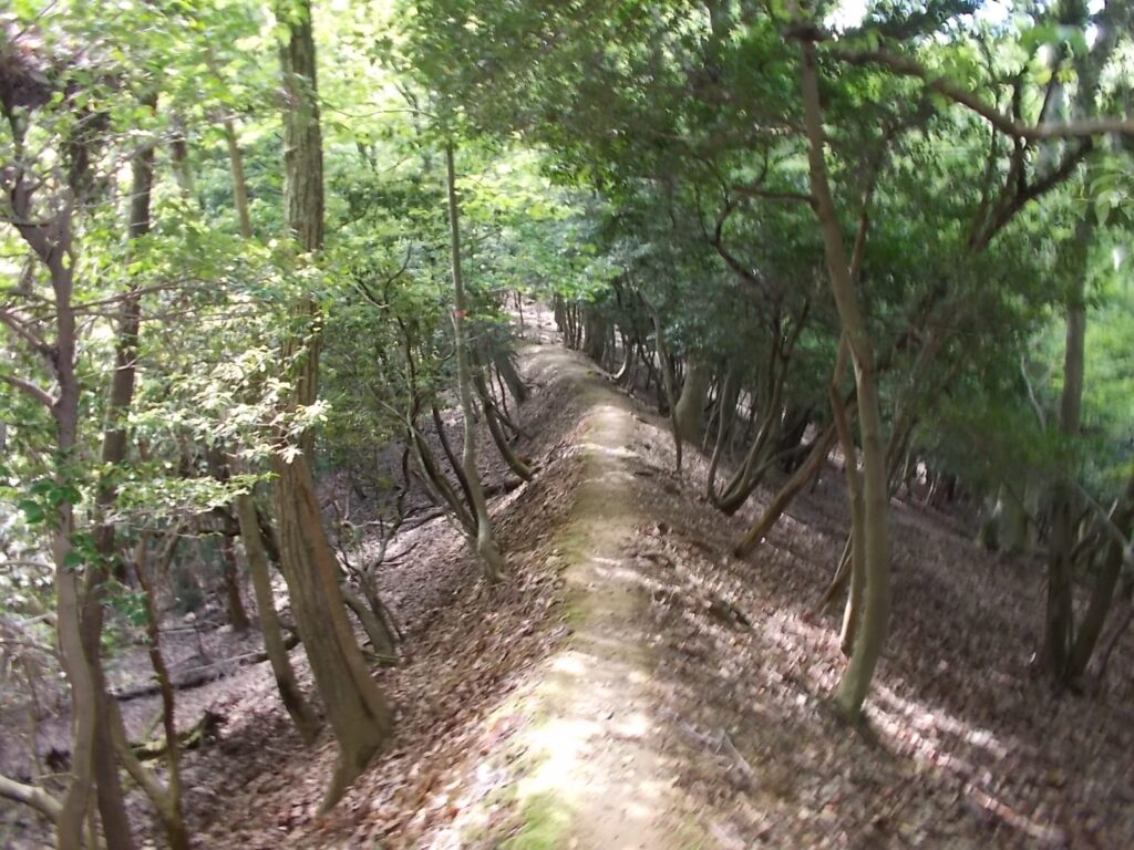 10:00 狭い尾根道