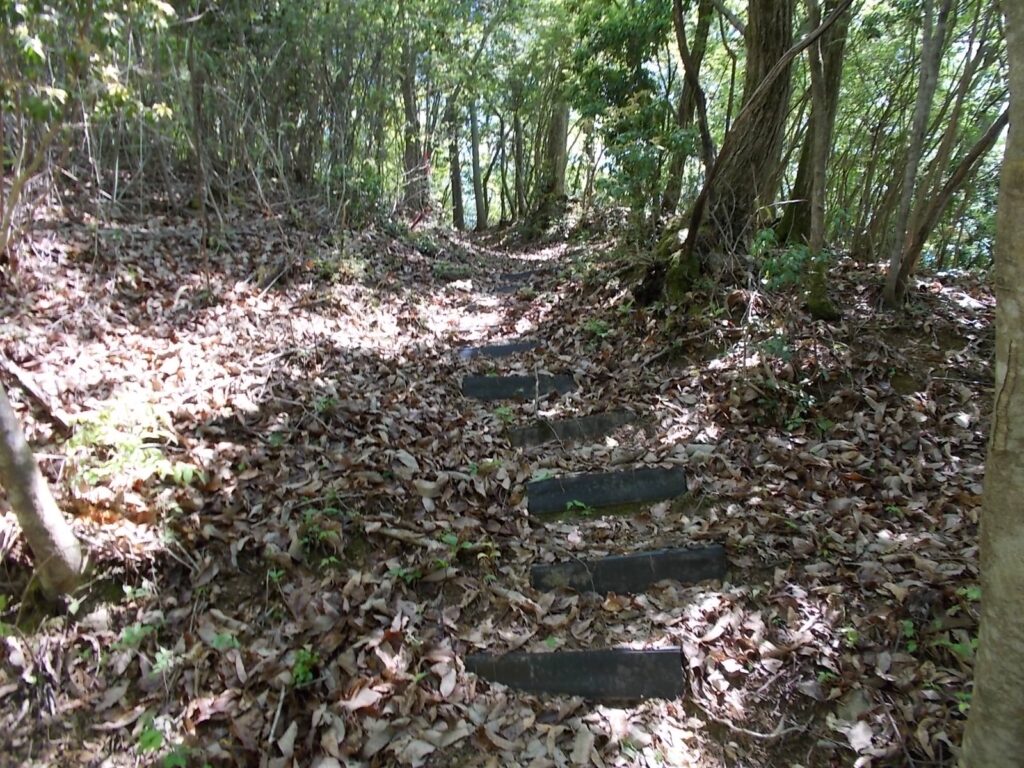 10：51　プラ階段を上ります。