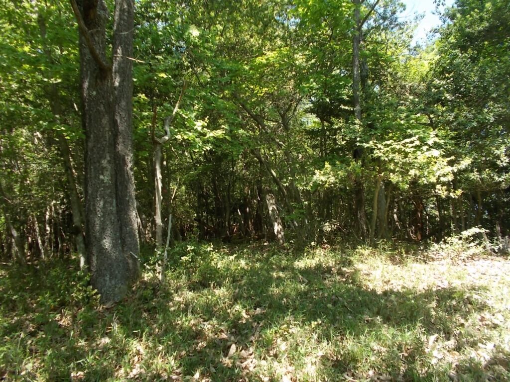 11：11　分岐になる広場。ちょっとわかりにくいですね。