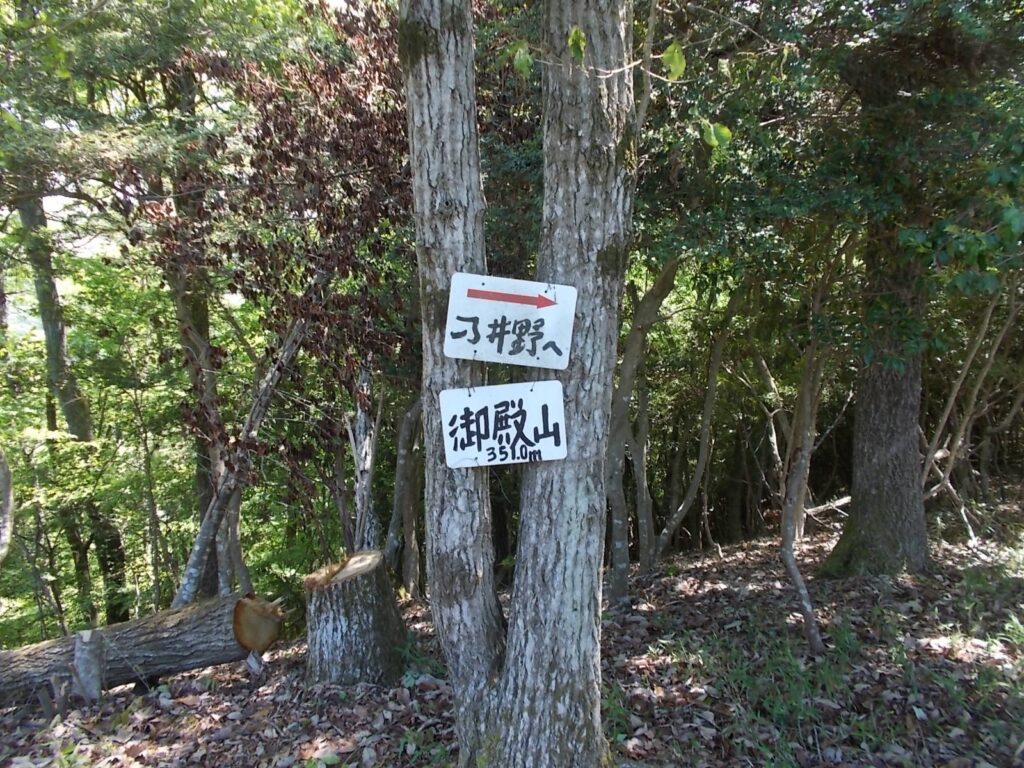 11：17　分岐に戻りました。ここから左へ。