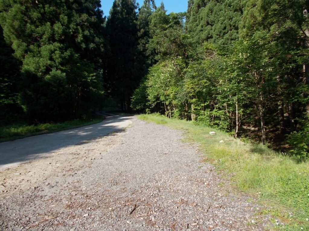 7：59　大カツラへの分岐の広場に車を止める。ここから不動滝まで戻ります。