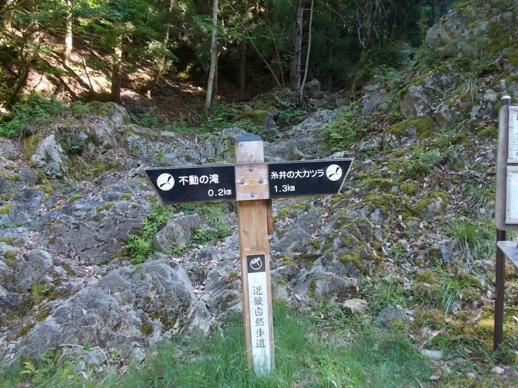 8：15　少し戻って、西床尾山登山口よりスタートです。