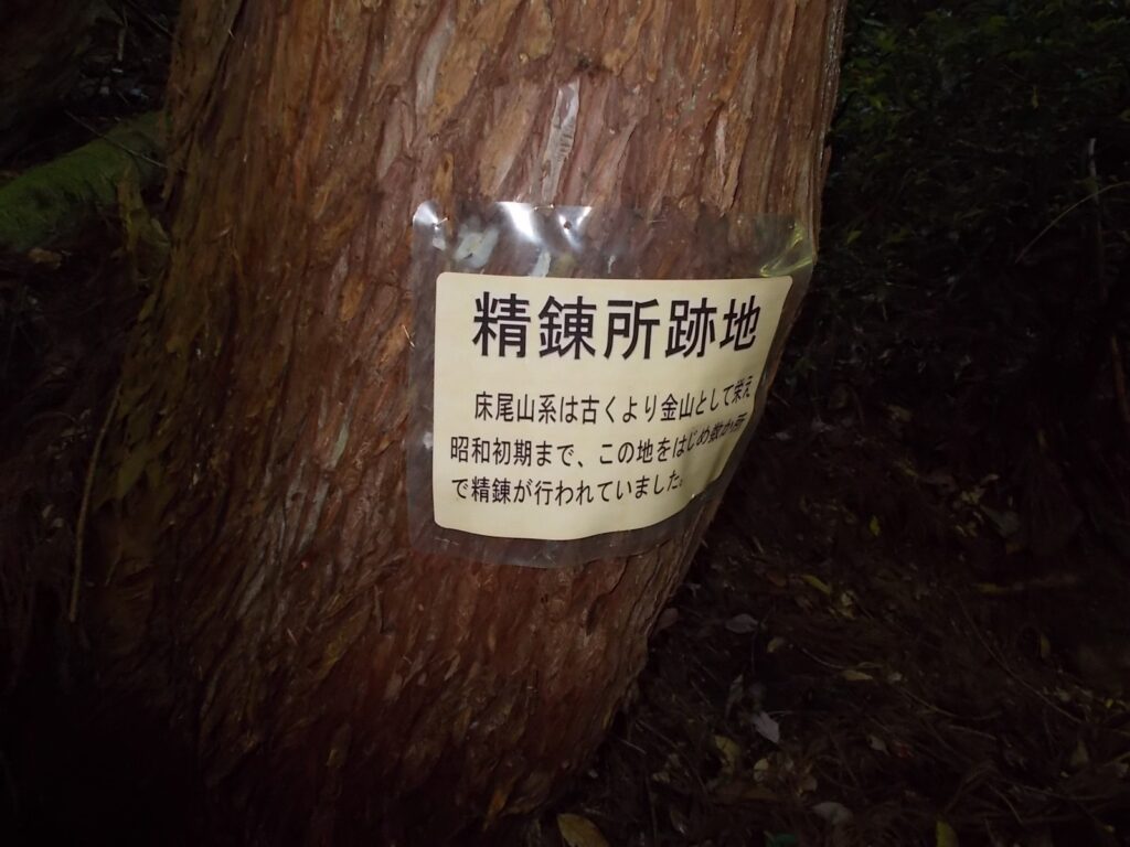 8：31　精錬所跡地の案内。沢の対岸がそのようです。