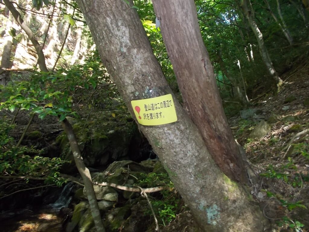 8：39　また、渡ります。