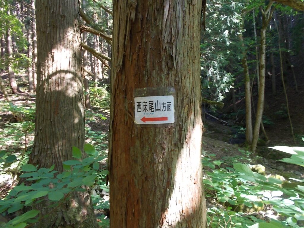 8：43　西床尾山への案内