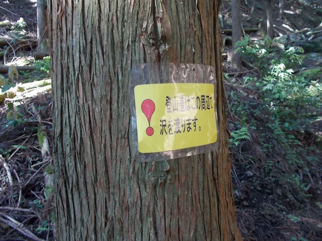 8：46　またまた、沢を渡ります。