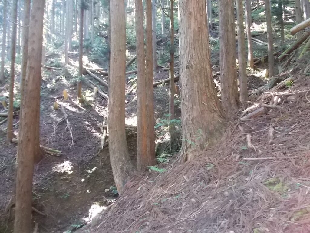 8：49　沢を離れ、ここから傾斜が急になっていきます。