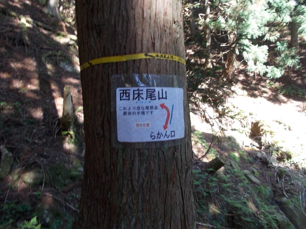 8：53　案内。ちょっと左へ。