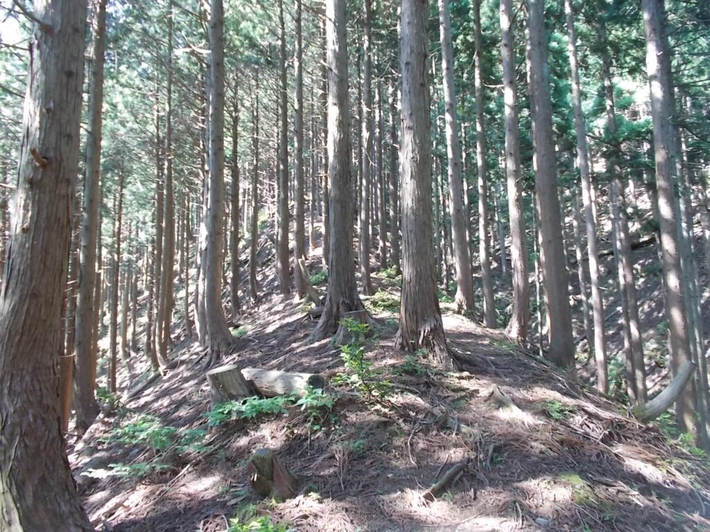 8：57　さらに傾斜が増します。結構長いです。