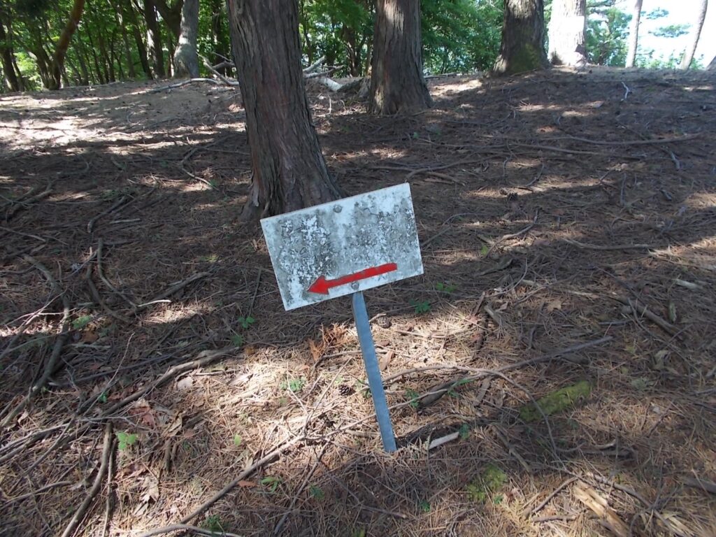 9：20　ようやく尾根っぽいところに着きました。