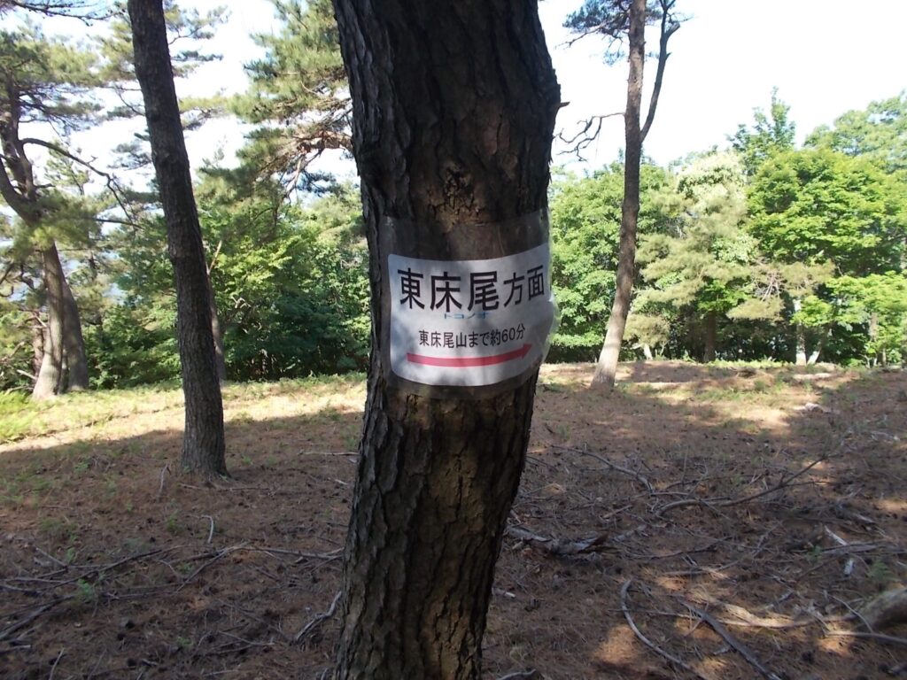 9：24　すぐに東床尾山に向かいます。