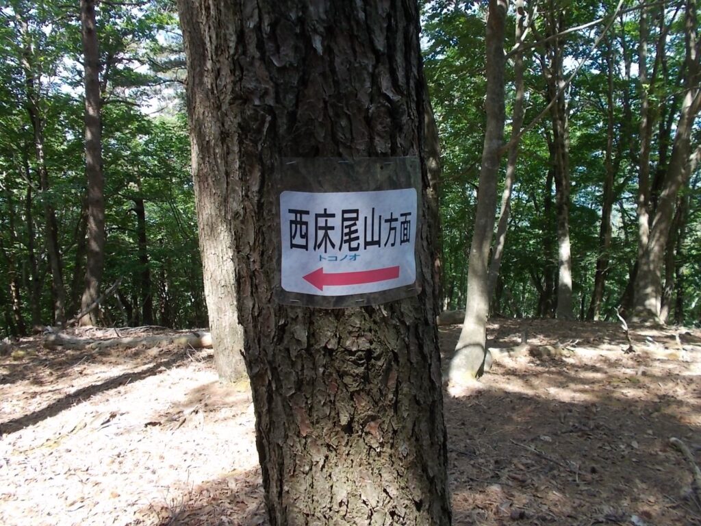 10：10　西床尾山への案内。反対側へ行きます。