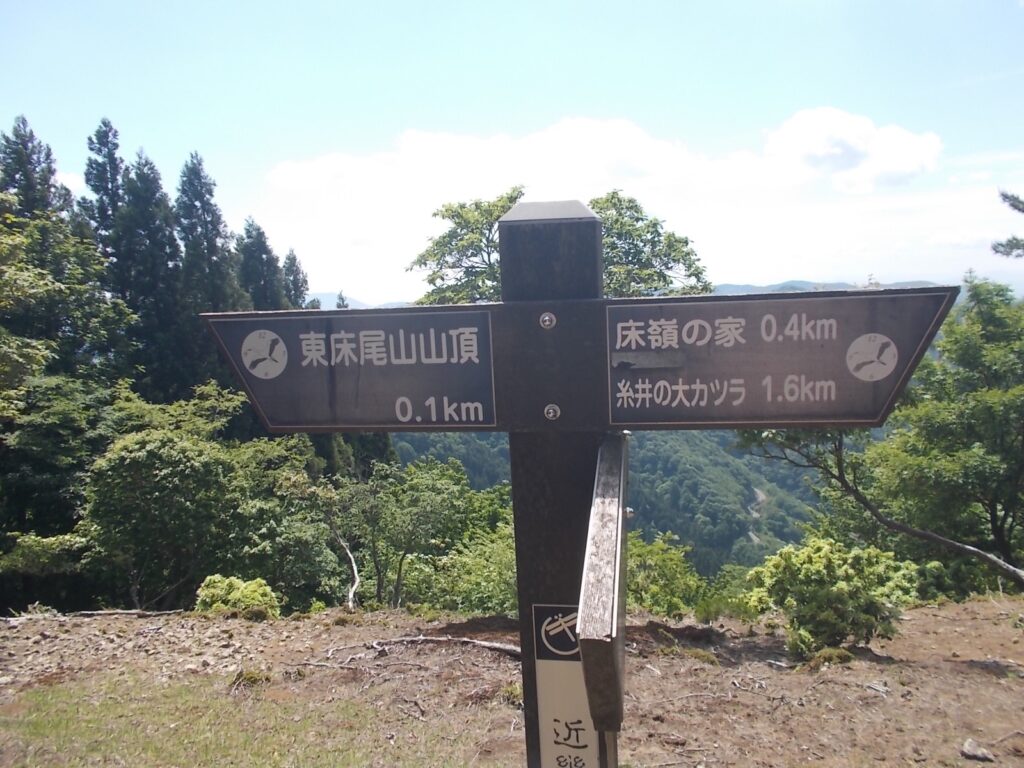 10：16　分岐の案内。あと100ｍ