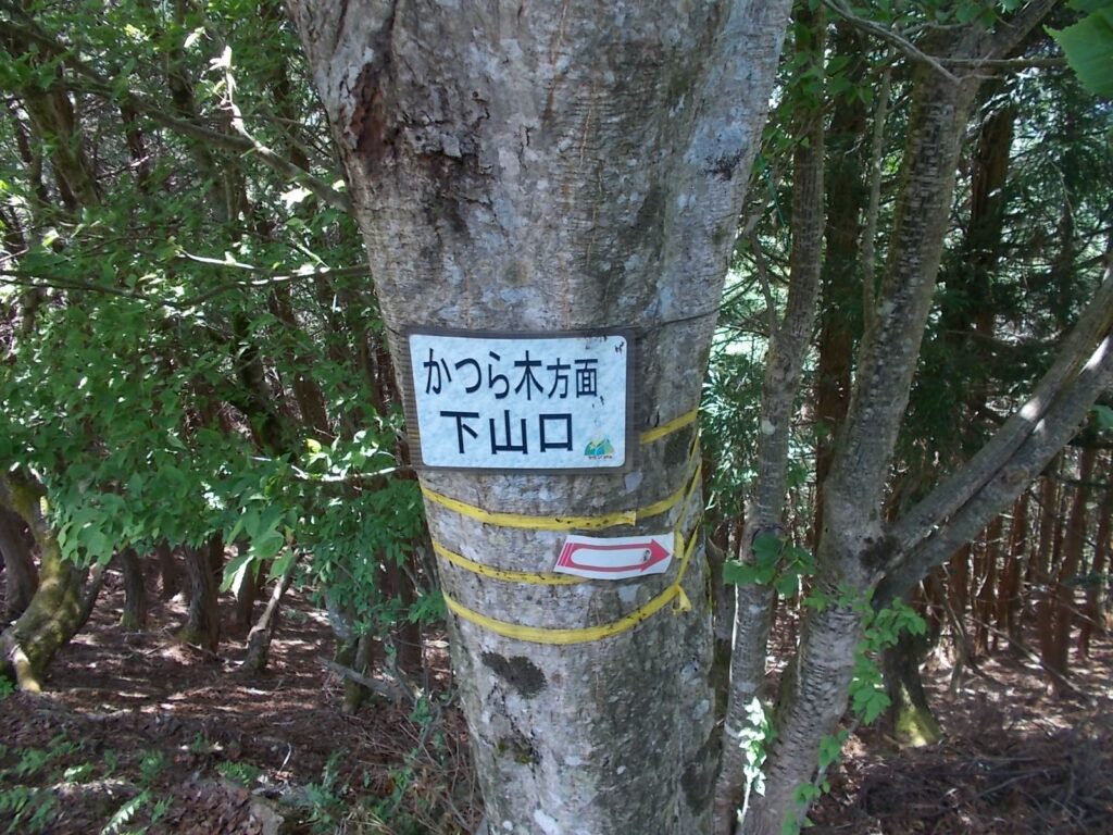 10：31　少し休憩して鉄鈷山へ。
山頂から南へ下るのは間違いです。すぐに引き返して、尾根筋へ。