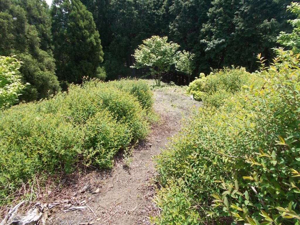 10：33　こちらを進みます。