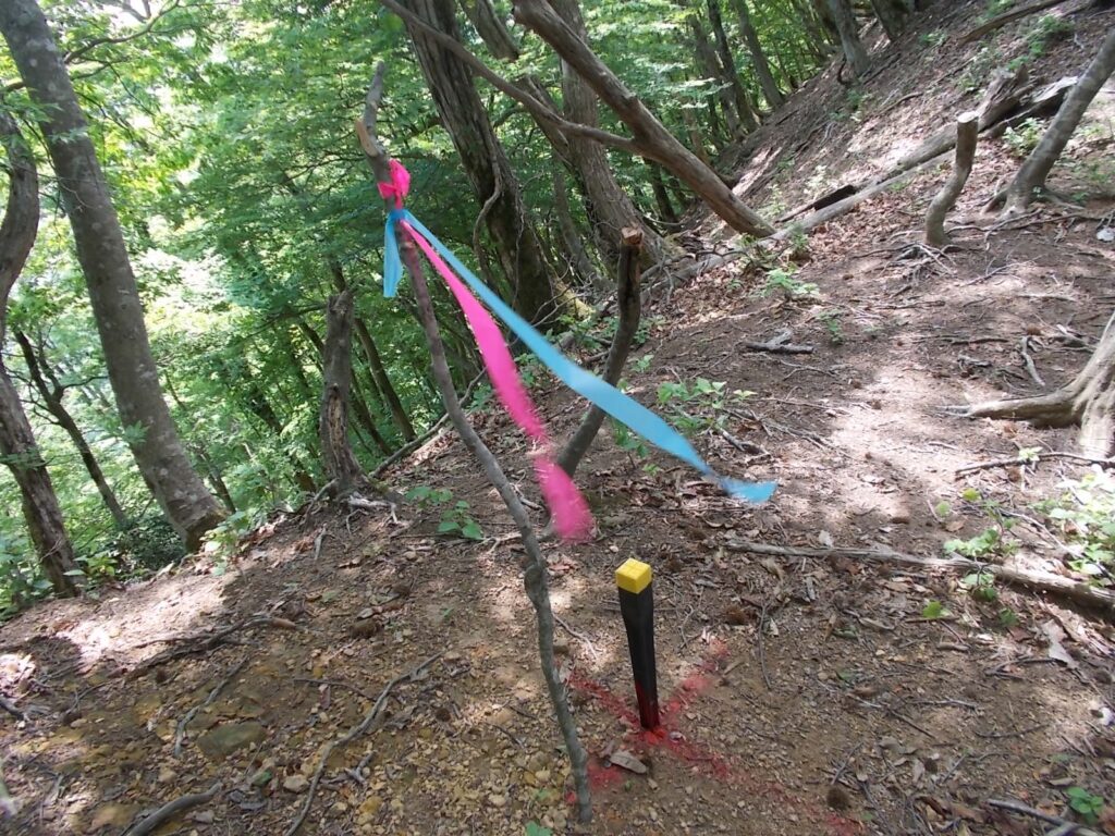 10：52　2色のテープ。こういうのがあるから紛らわしいんですよね。