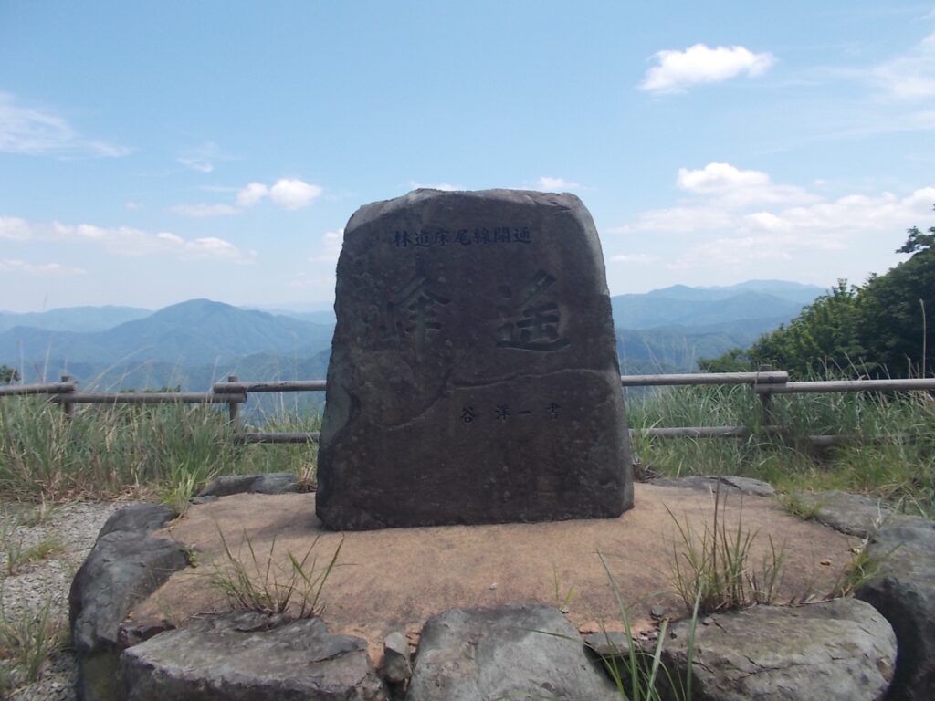 11：12　ちょいと急な斜面を下って、峰遙の広場へ。イワカガミからここまではススキの群生地でしたが、今はほとんどなくなってしまいました。