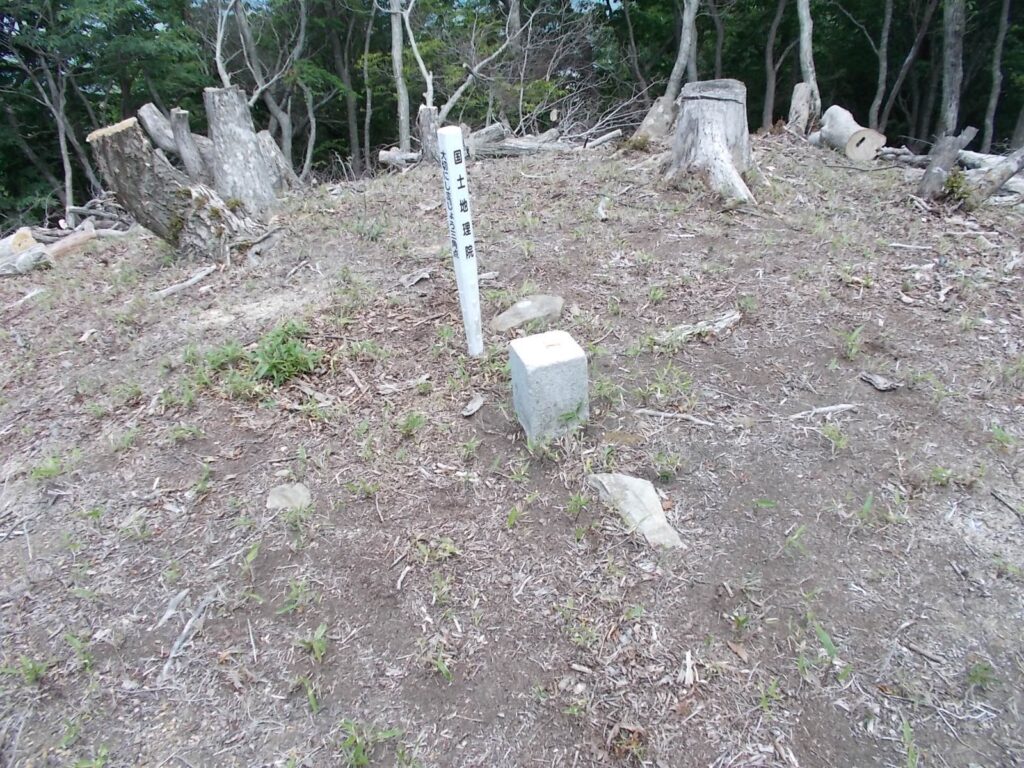 11：30　登山口から斜面を登り、尾根を歩いてたどり着いたピーク。ここからもう一度急斜面を登ると山頂です。