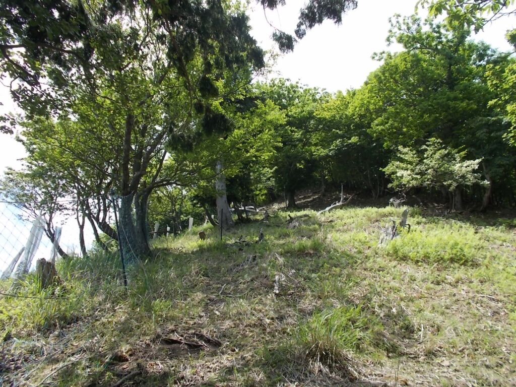 11：42　歩きやすいけど、とっても急です。