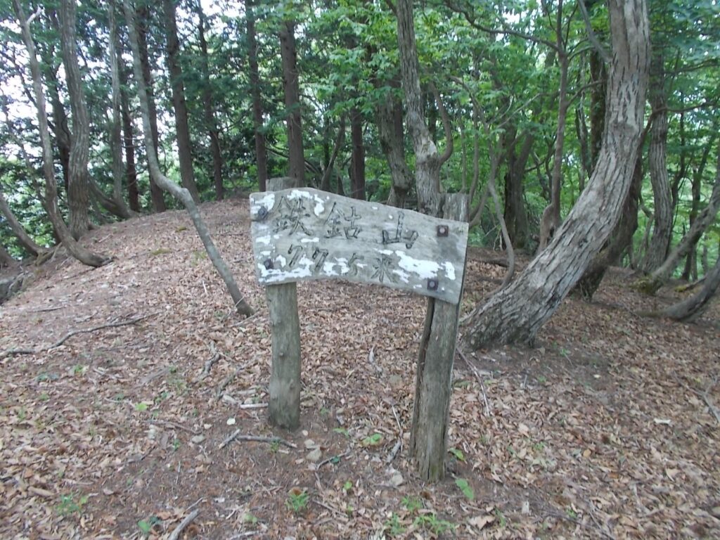 11：46　登り切ると山頂でした。ここでちょっと休憩。