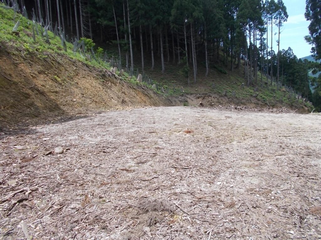 12：33　植林地を抜けると、作業道の終点でした。あとは作業道を歩くだけ。