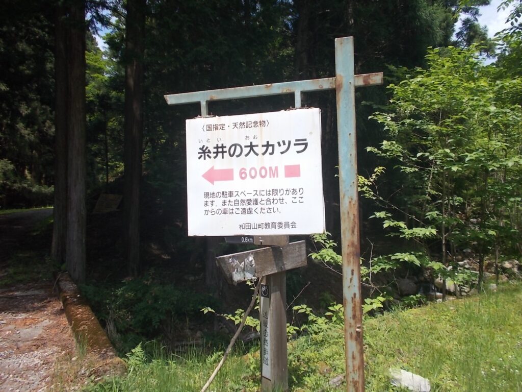 13：26　ようやく駐車地点に戻ってきました。