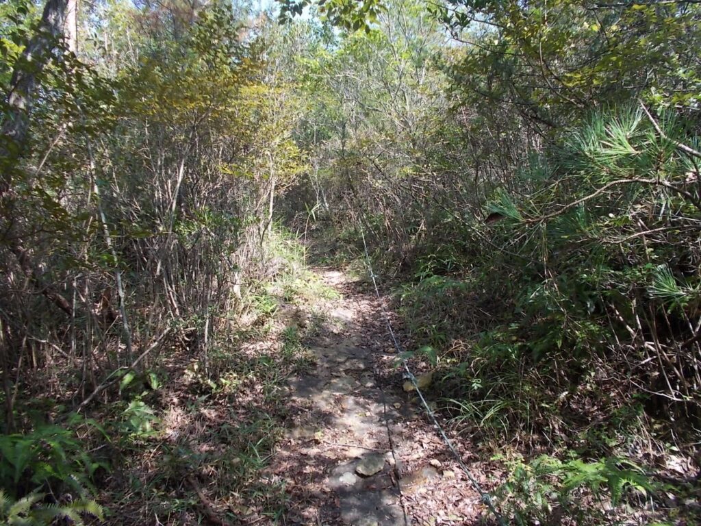 11:46 いきなりロープ場が現れます。