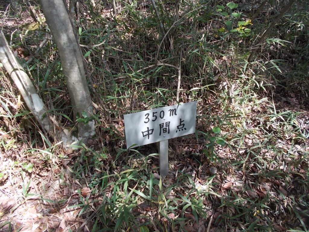 11:50 中間点。残り350m