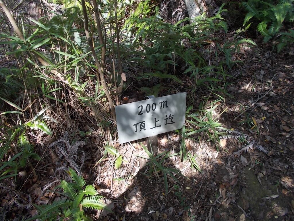 11:53 頂上まであと200m
