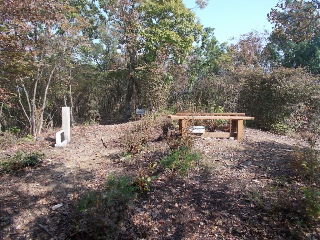 11:59 山頂に着きました。三角点はここにはありません。もうちょっと向こうです。