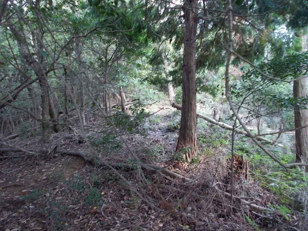 12:54 分岐を左への案内を間違えて左へ行きすぎたようです。