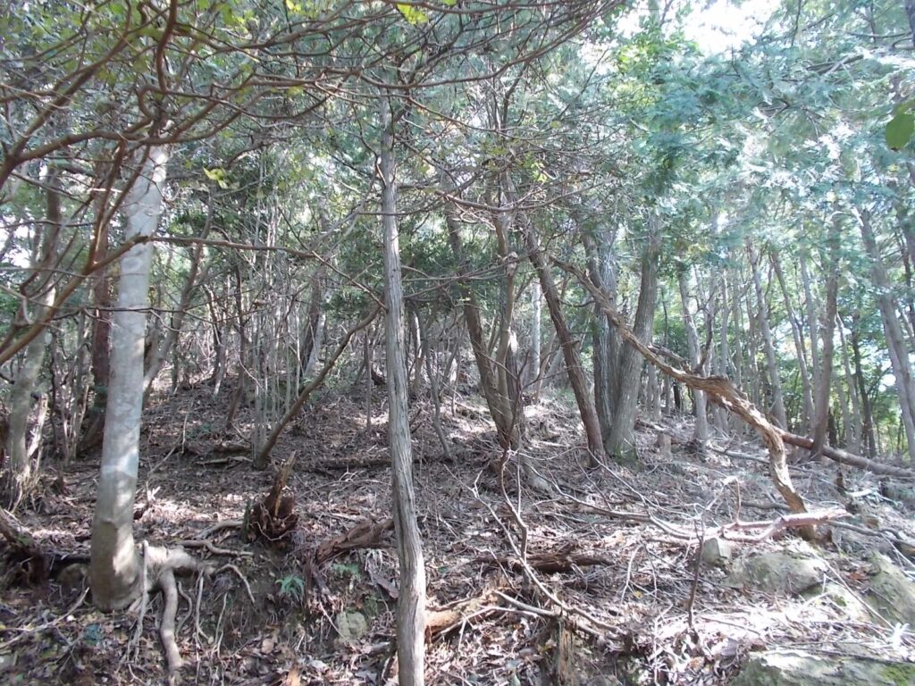 12:59 とにかく進みます。