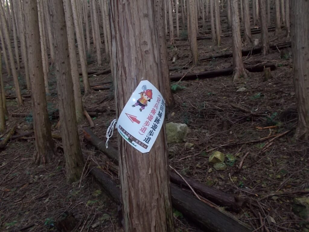 13:30 行きに間違えた分岐点。ココは左ではなくまっすぐ。