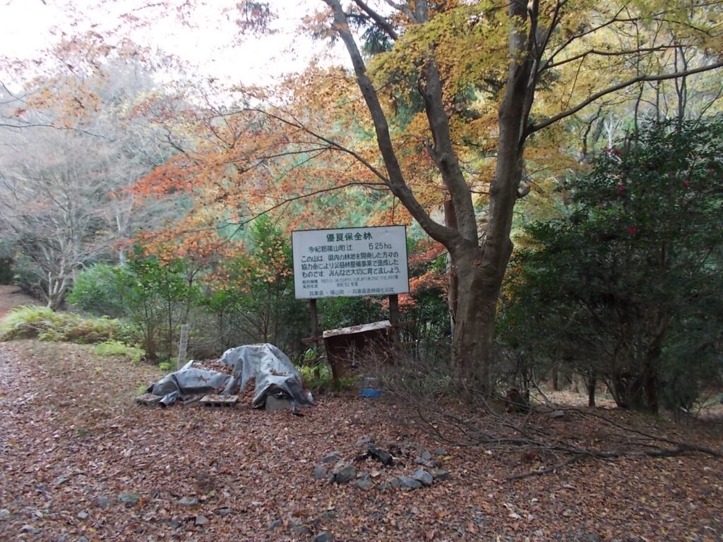 10：50　ゲートをくぐって適当な場所に駐車します。