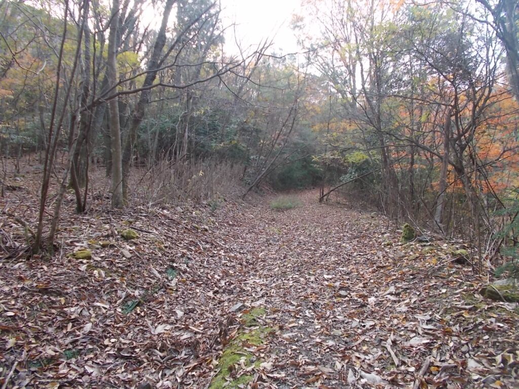 10：52　紅葉の林道を歩きます。落ち葉がいっぱい
