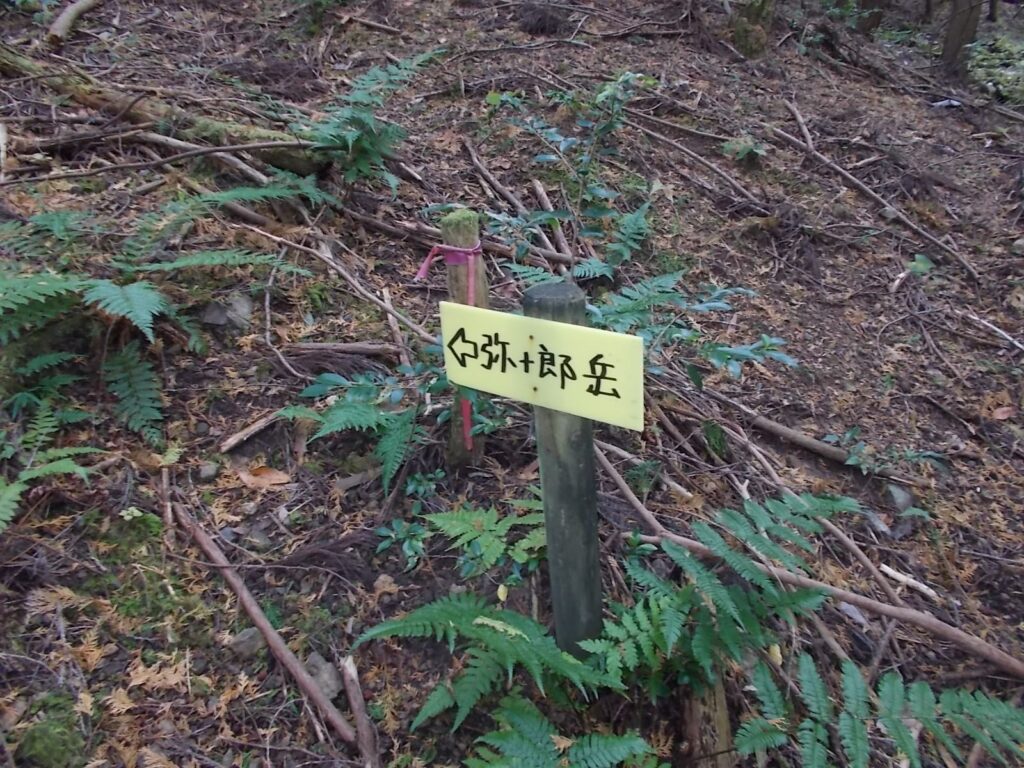 10：59　最初の案内板。見落とさないように。