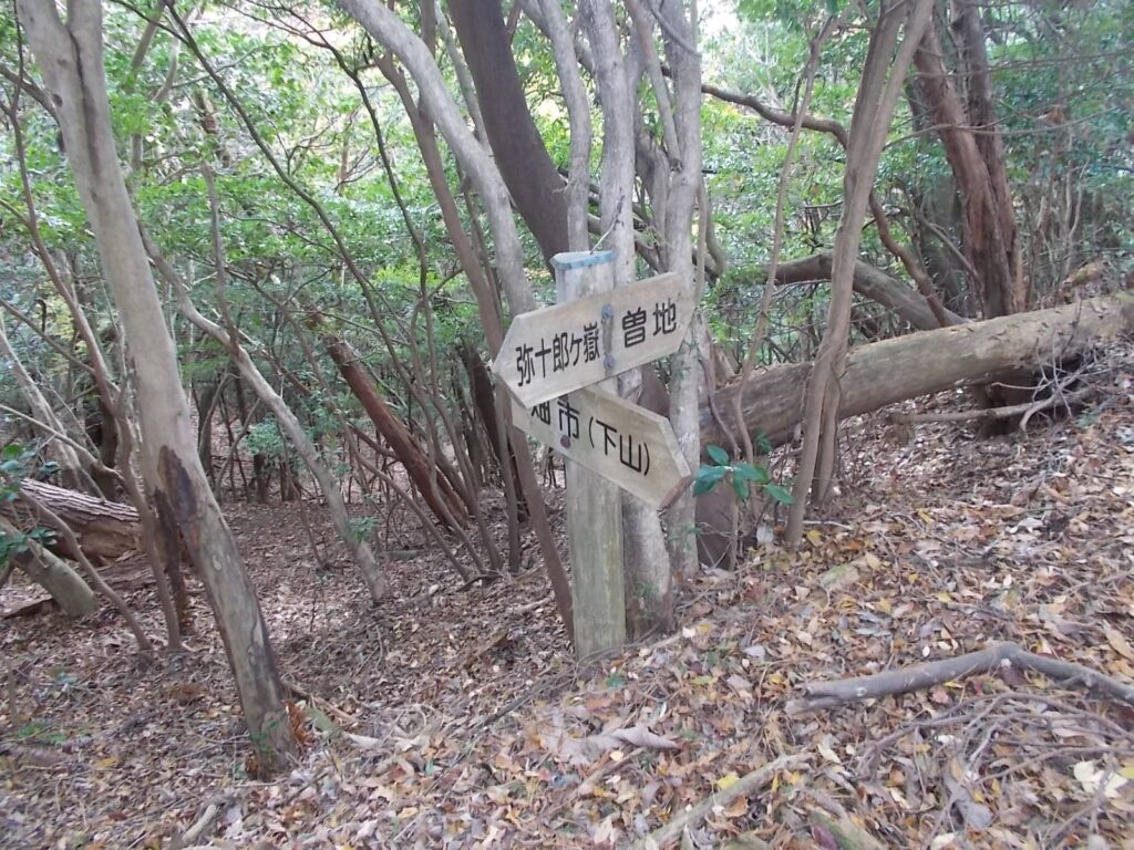 11：05　尾根筋にある分岐の案内