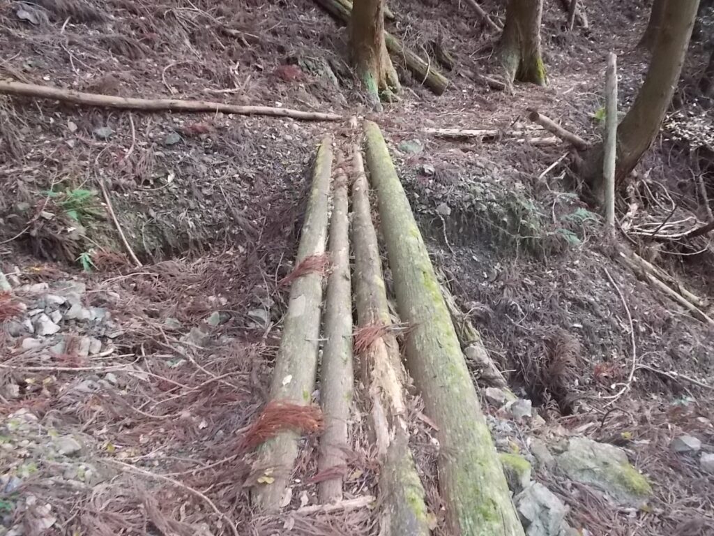 11：11　恐そうな丸木橋　安全のため、沢を渡ります。