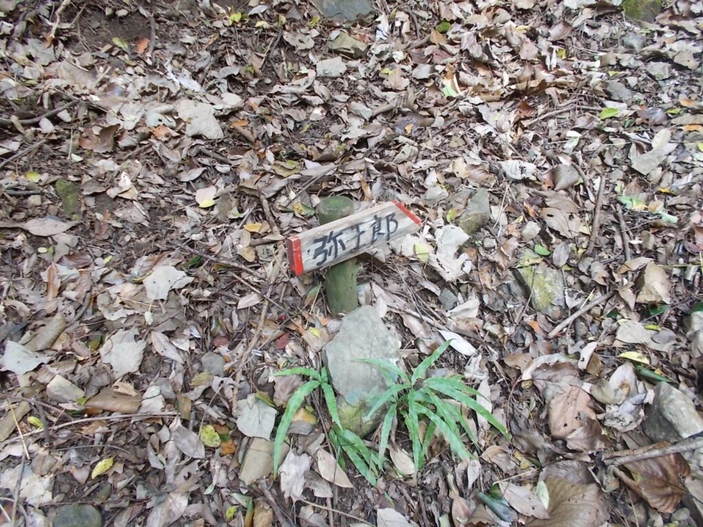 11：17　ちっちゃな案内