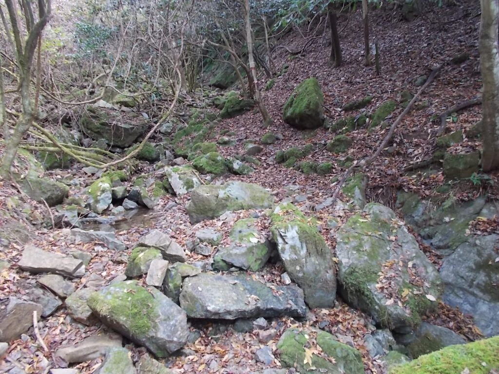 11：19　ここから沢を登っていきます。