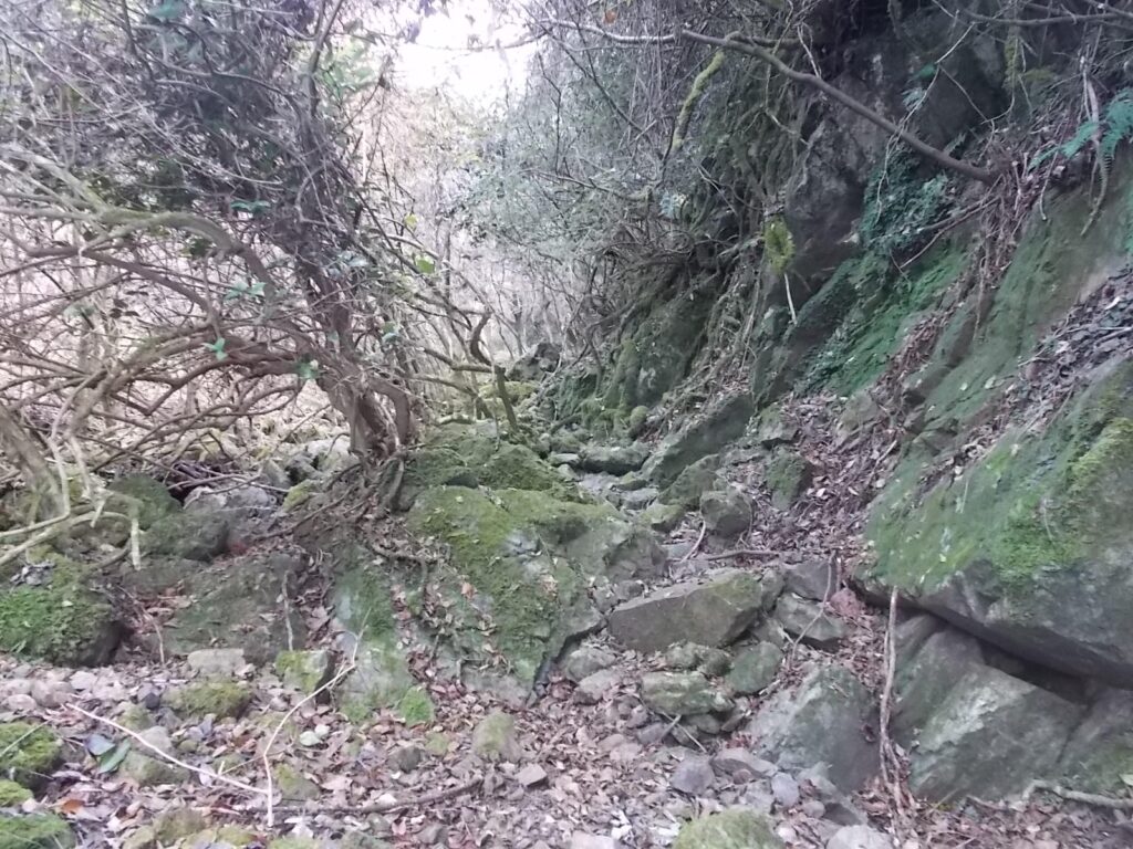 11：20　歩きにくい道です。