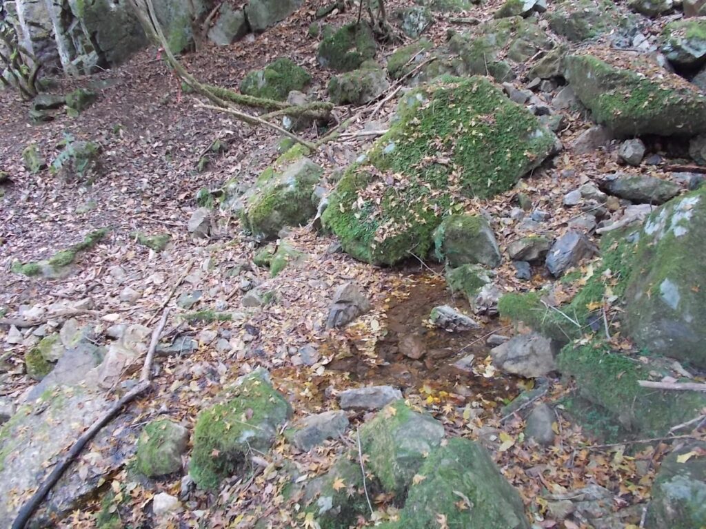 11：22　沢を渡ります。