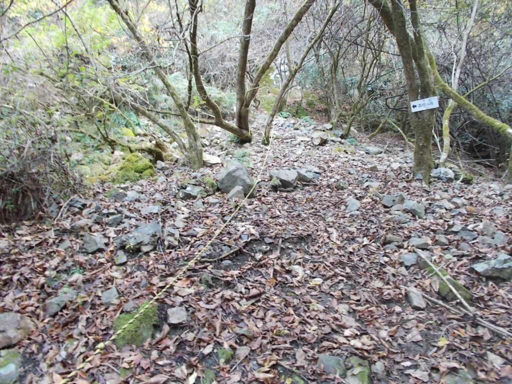11：22　かなり急な斜面になってきました。ロープがあります。
