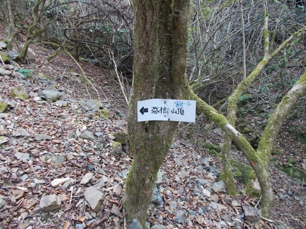 11：22　案内板。右側に滝があるようです。