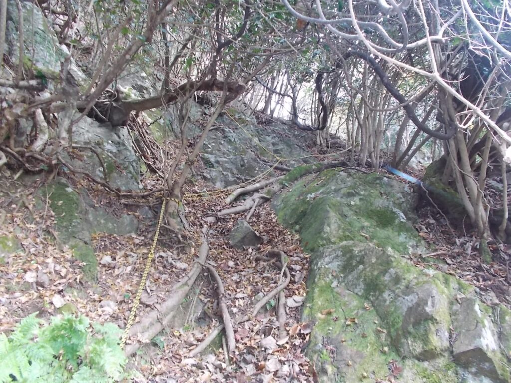 11：24　さらにロープ場が続きます。