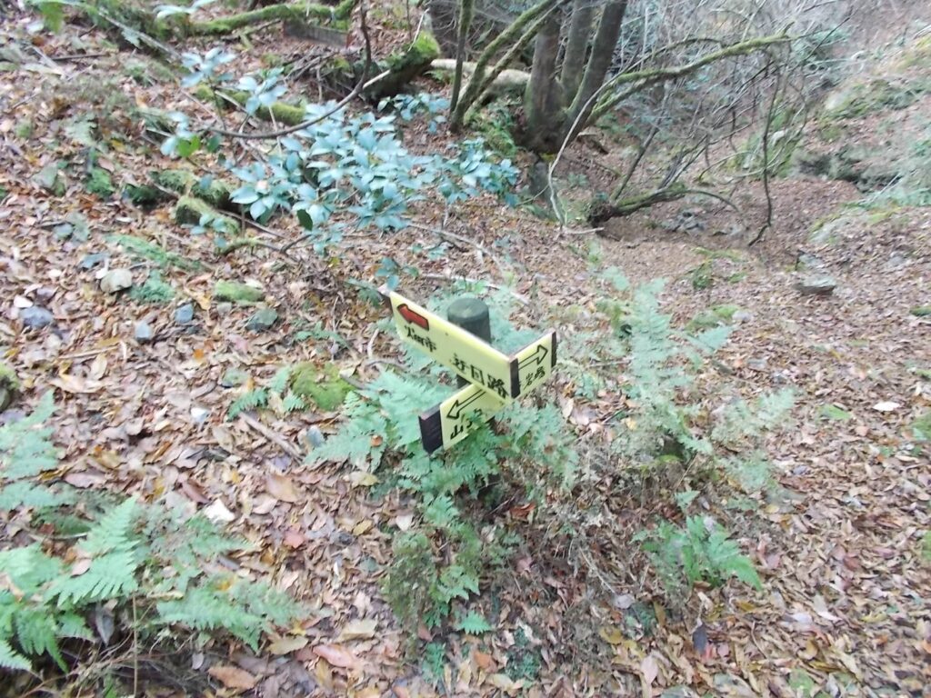 12：00 岩場と迂回路の分下りも迂回路へ