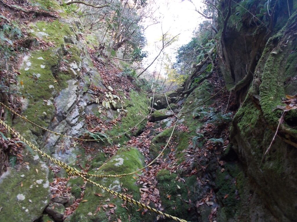 12：04　岩場コースを下からみた感じ