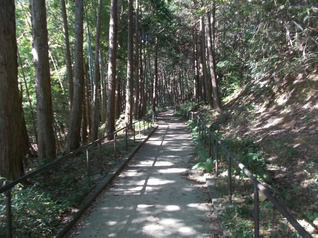 9：55　整備された道を歩きます。