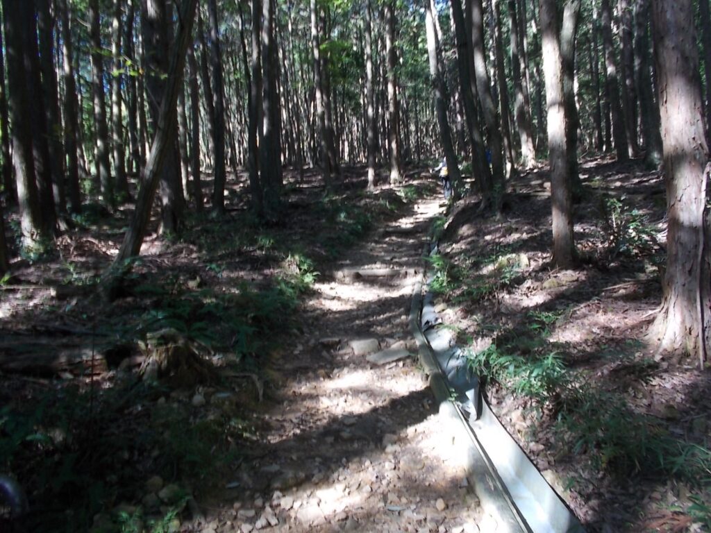 9：57　ここから山道になります。