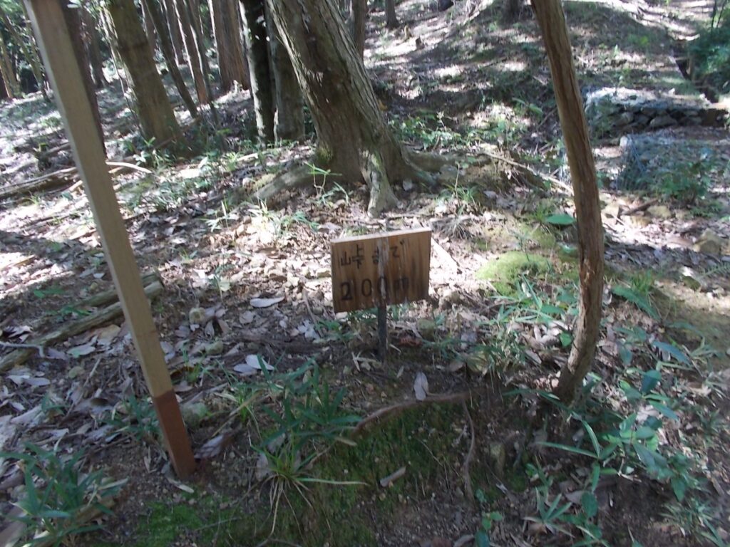 9：58　峠まで200m